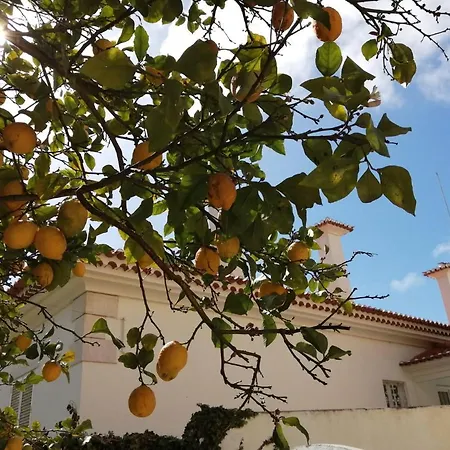 Limmo Garden - Alto Do Estoril