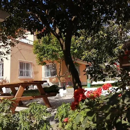 Limmo Garden - Alto Do Estoril Guest house *