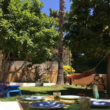 Limmo Garden - Alto Do Estoril Guest house